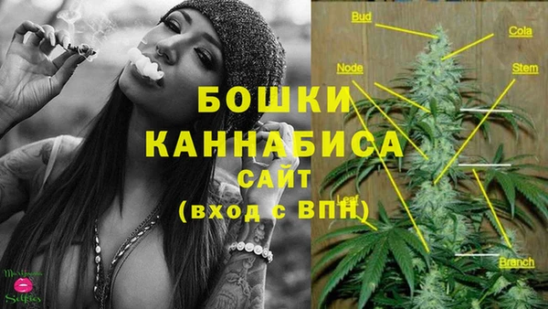 хмурый Пересвет