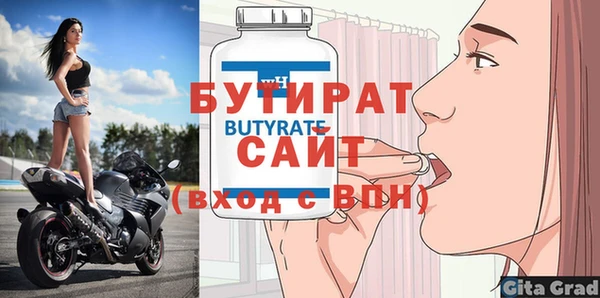 хмурый Пересвет