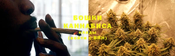 ПСИЛОЦИБИНОВЫЕ ГРИБЫ Абинск
